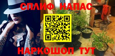 гидропоника Славянск-на-Кубани