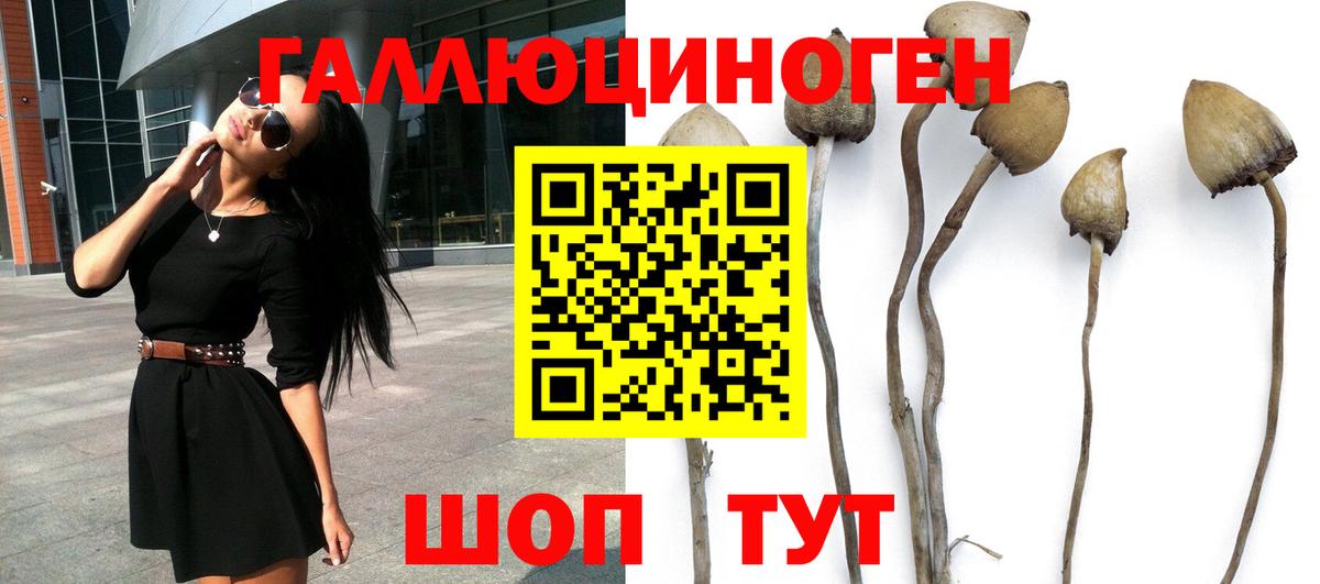 Галлюциногенные грибы Psilocybe Реж