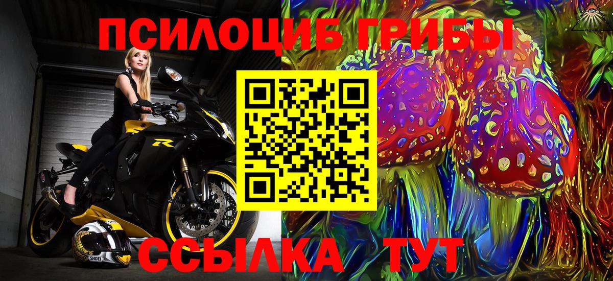 Реж  Галлюциногенные грибы Psilocybe  Галлюциногенные грибы Psilocybine cubensis  Вход с VPN 